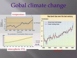 Gobal climate change