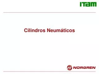cilindros neum ticos