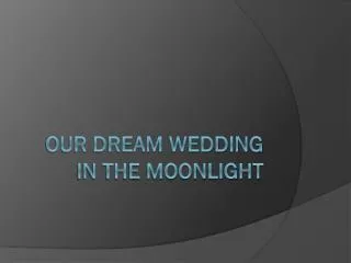 Our Dream Wedding in the moonlight