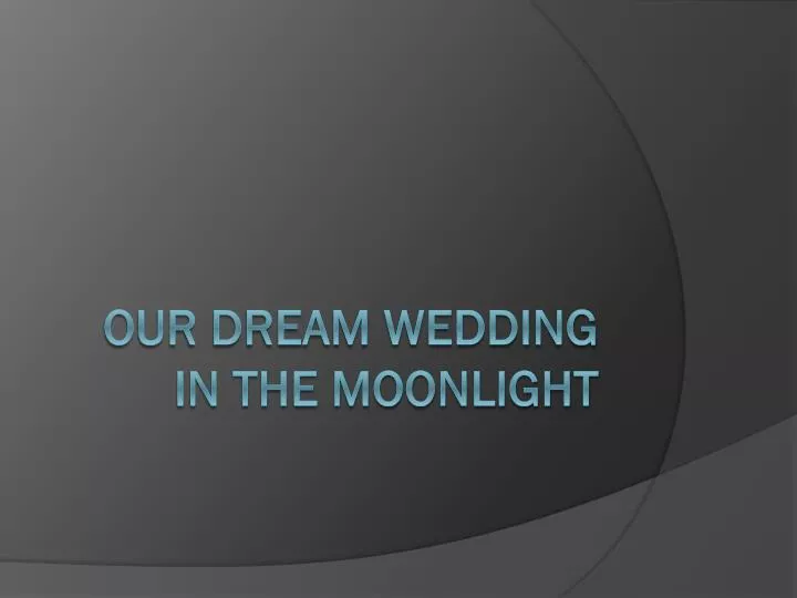our dream wedding in the moonlight