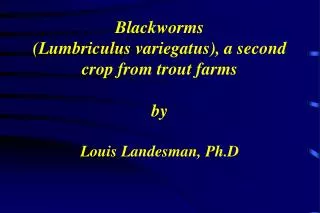 Blackworms (Lumbriculus variegatus), a second crop from trout farms by Louis Landesman, Ph.D