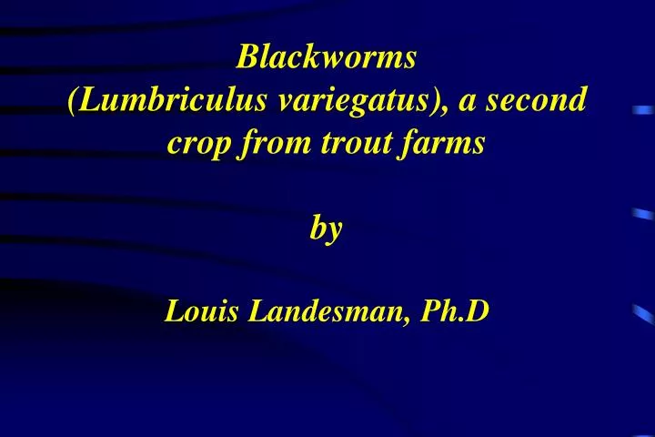 blackworms lumbriculus variegatus a second crop from trout farms by louis landesman ph d