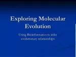 Exploring Molecular Evolution - slide 1