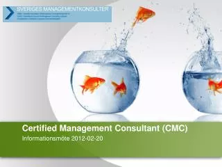 Certified Management Consultant (CMC)
