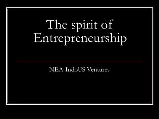 The spirit of Entrepreneurship