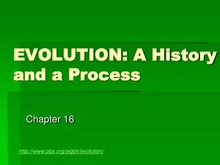 EVOLUTION: A History and a Process