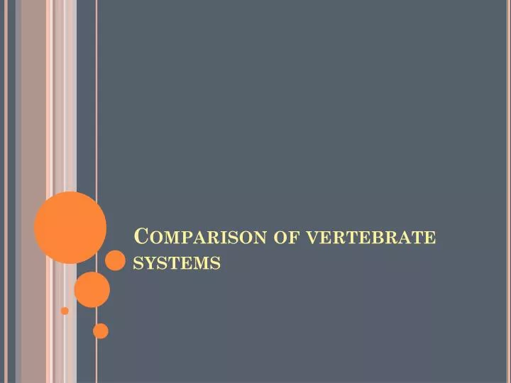 comparison of vertebrate systems