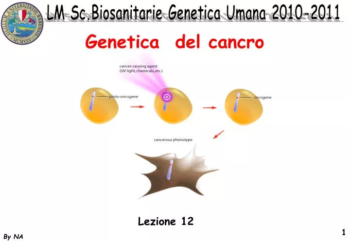 genetica del cancro