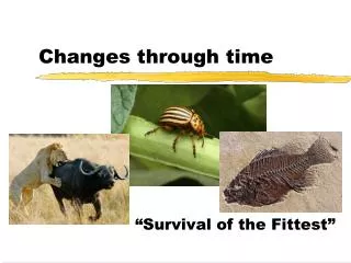 Changes through time