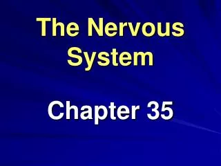 The Nervous System