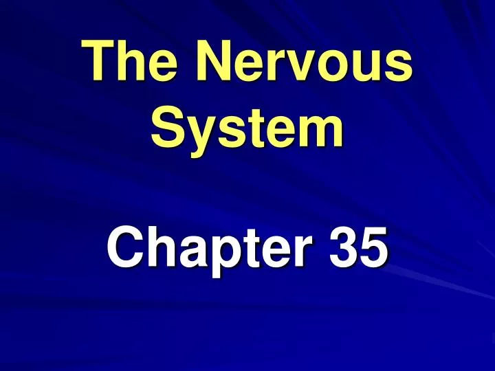 the nervous system