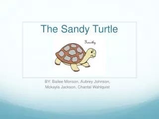 The Sandy Turtle