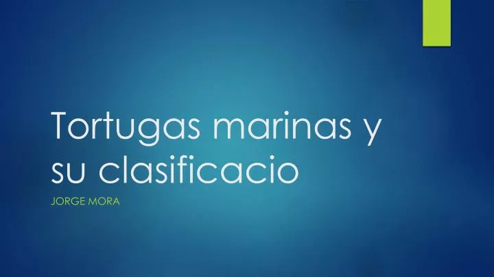 tortugas marinas y su clasificacio