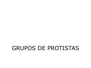 grupos de protistas