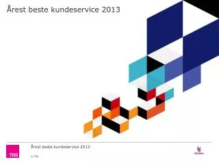 rest beste kundeservice 2013