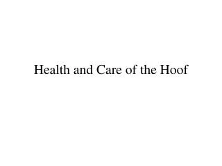 Health and Care of the Hoof