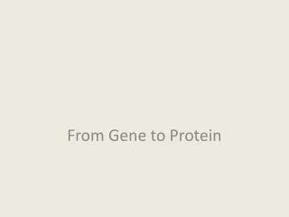 From Gene to Protein