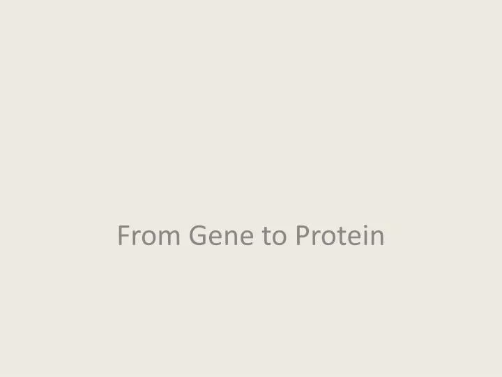 from gene to protein