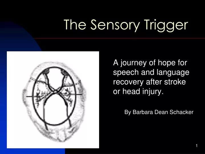 the sensory trigger