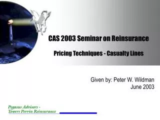 CAS 2003 Seminar on Reinsurance Pricing Techniques - Casualty Lines