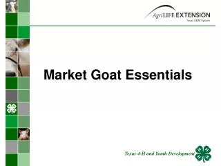 Market Goat Essentials