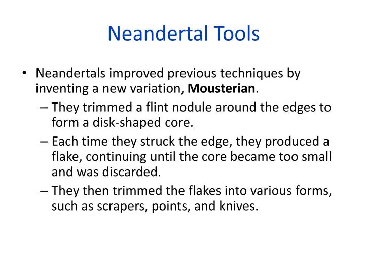 neandertal tools