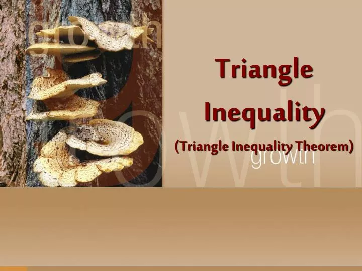 triangle inequality triangle inequality theorem