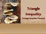 Triangle Inequality (Triangle Inequality Theorem) - slide 1