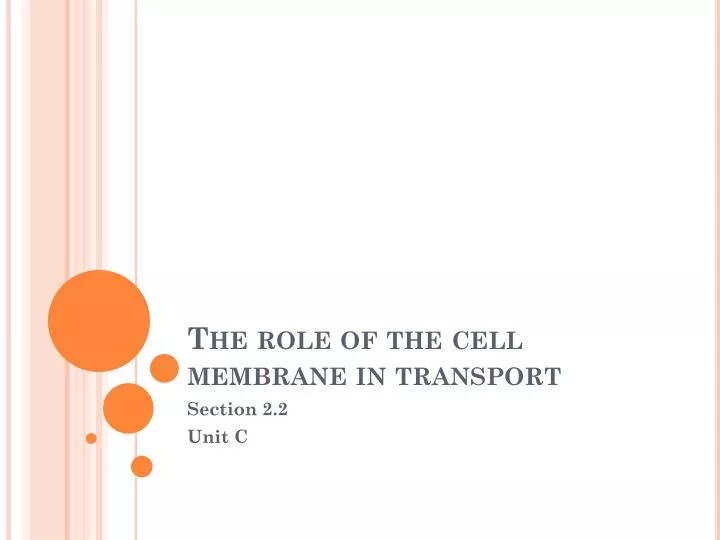 the role of the cell membrane in transport