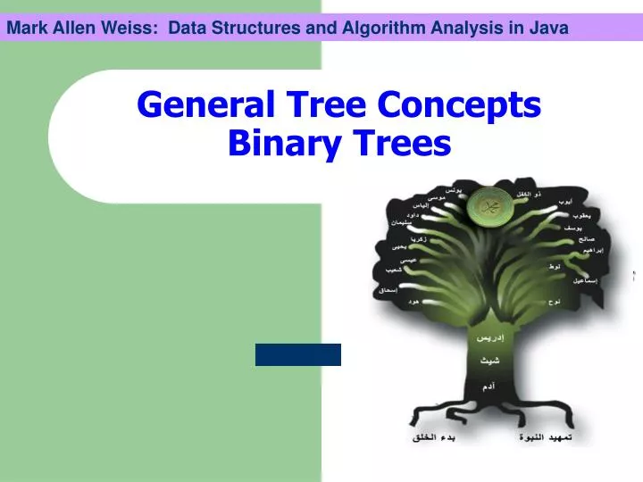 general tree concepts binary trees