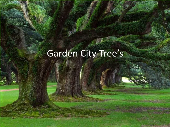 garden city tree s