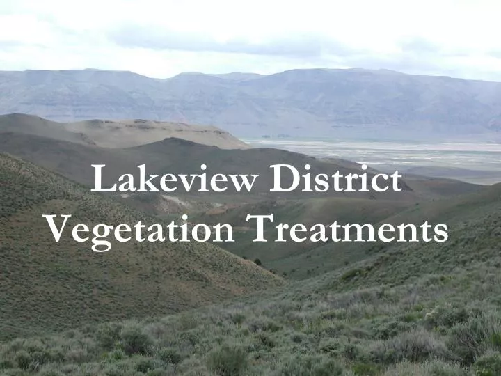 lakeview district vegetation treatments