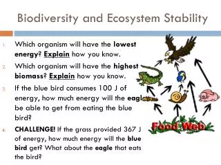Biodiversity and Ecosystem Stability