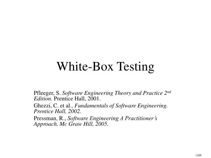 white box testing