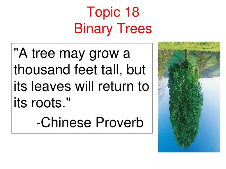 topic 18 binary trees