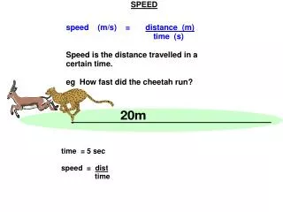 The slope tells us the speed: speed = 20m = 5m/s 4s
