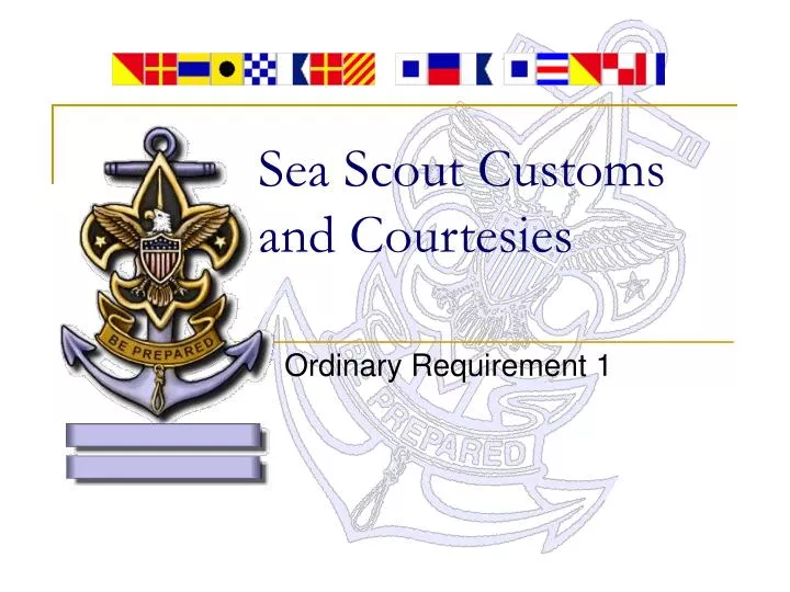 sea scout customs and courtesies