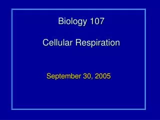 Biology 107 Cellular Respiration