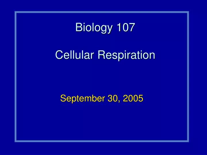 biology 107 cellular respiration