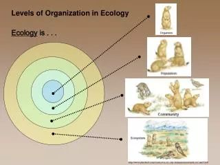 phschool/science/ca_sci_exp_transparencies/earth_sci_unit5.pdf