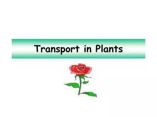 Transport in Plants