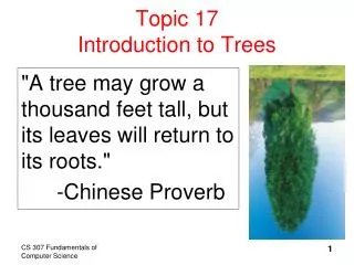 Topic 17 Introduction to Trees