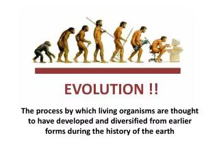 EVOLUTION !!