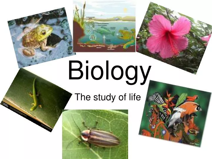 biology