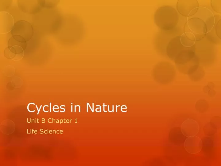 cycles in nature