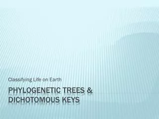 Phylogenetic trees &amp; dichotomous keys