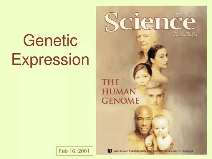 genetic expression