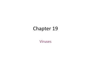Chapter 19