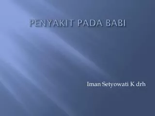 penyakit pada babi