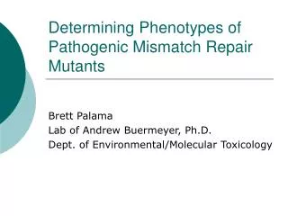 Determining Phenotypes of Pathogenic Mismatch Repair Mutants